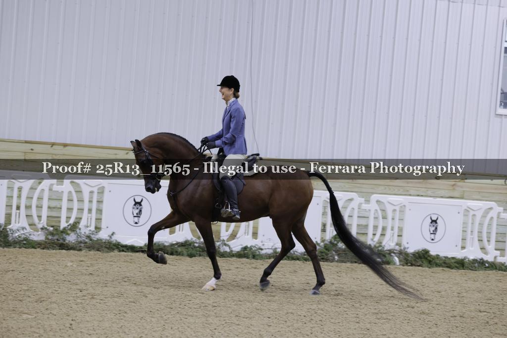 Proof Number 25R13_11565
