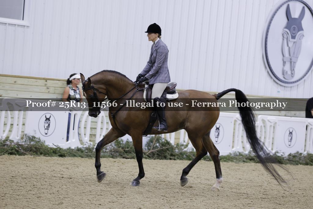 Proof Number 25R13_11566