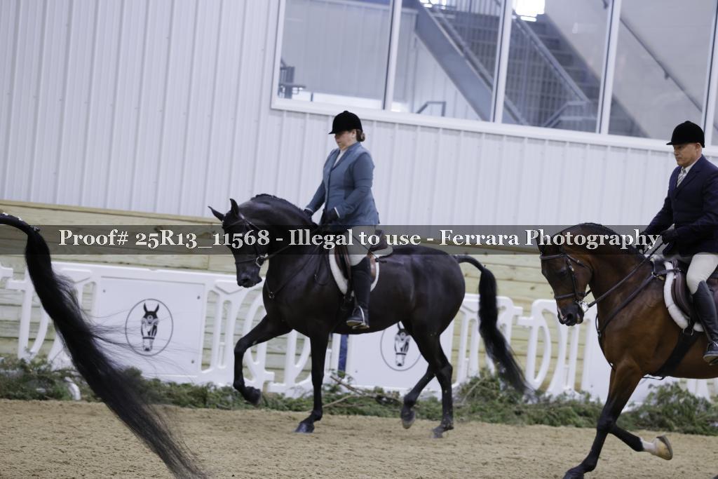 Proof Number 25R13_11568