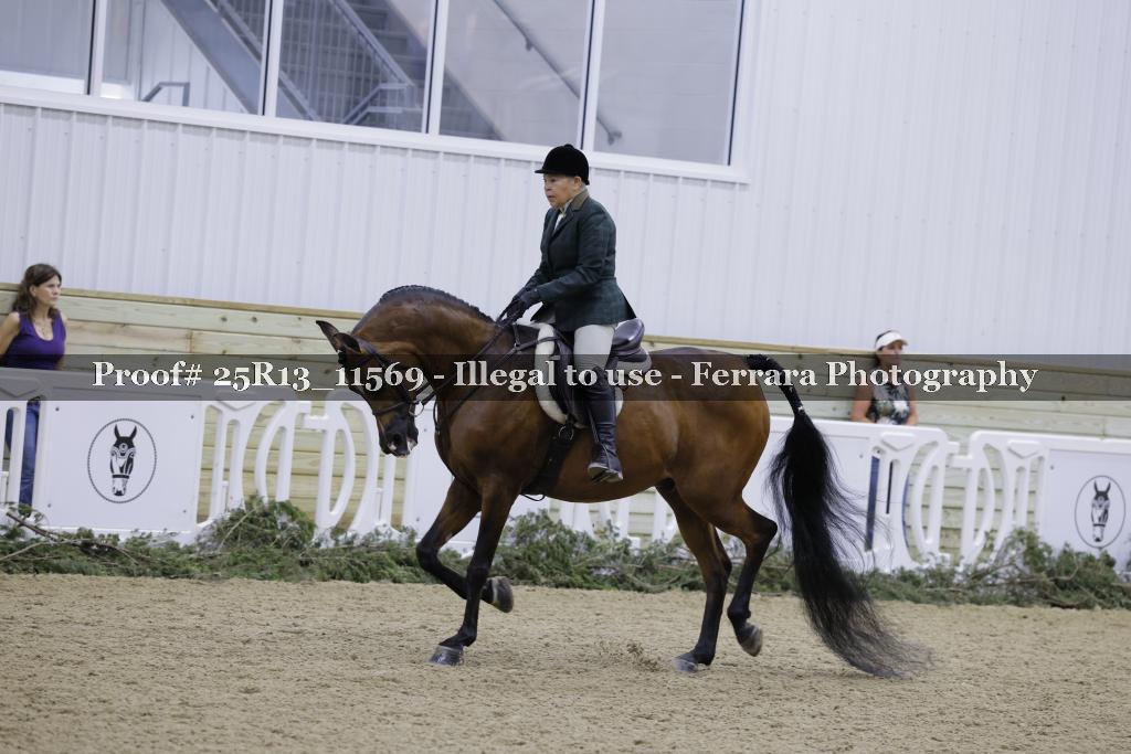 Proof Number 25R13_11569