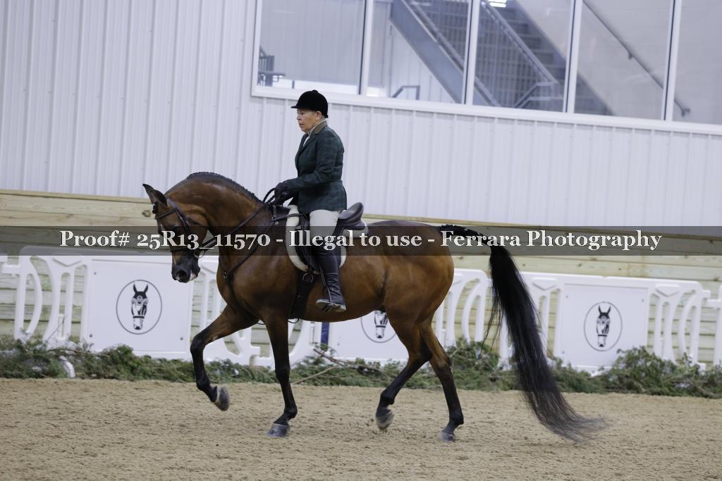 Proof Number 25R13_11570