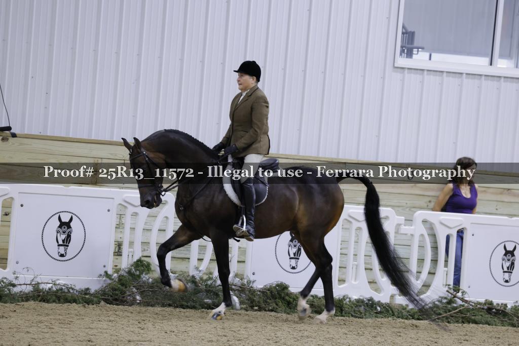 Proof Number 25R13_11572