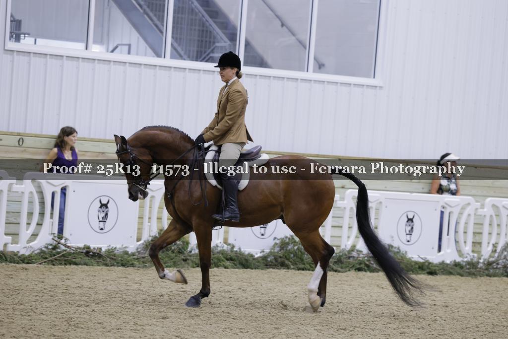 Proof Number 25R13_11573