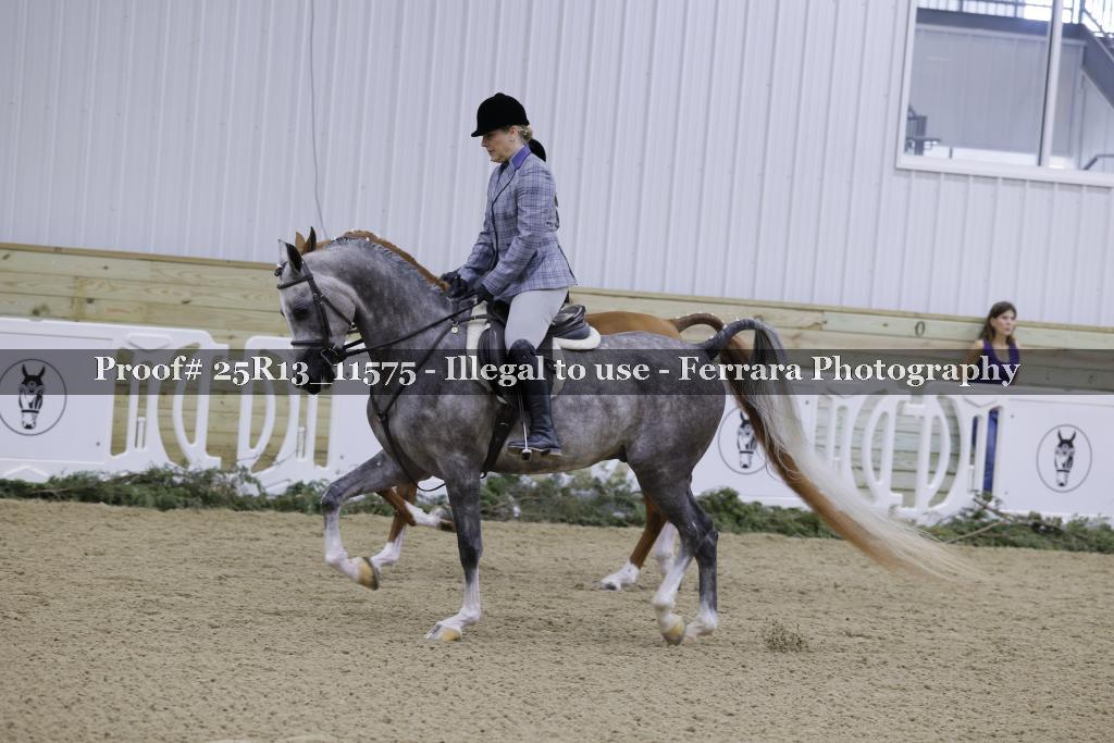 Proof Number 25R13_11575