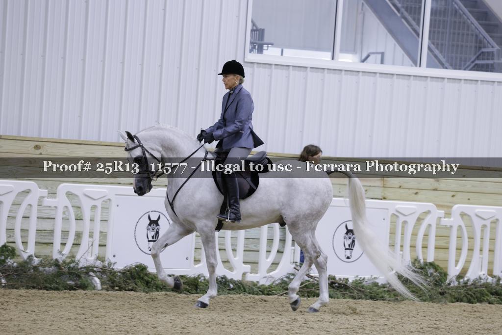 Proof Number 25R13_11577
