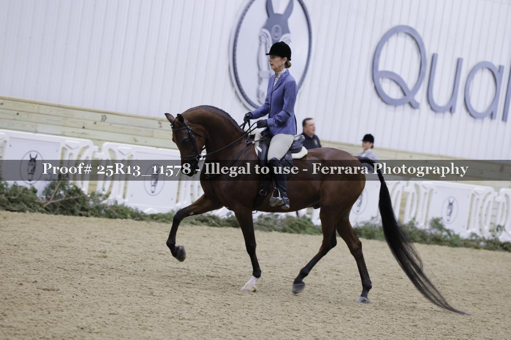 Proof Number 25R13_11578