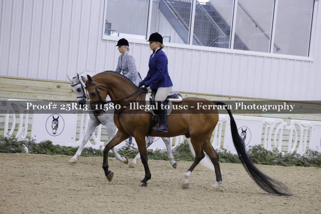 Proof Number 25R13_11580