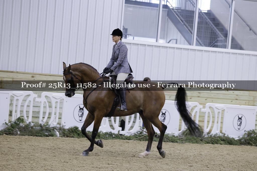 Proof Number 25R13_11582
