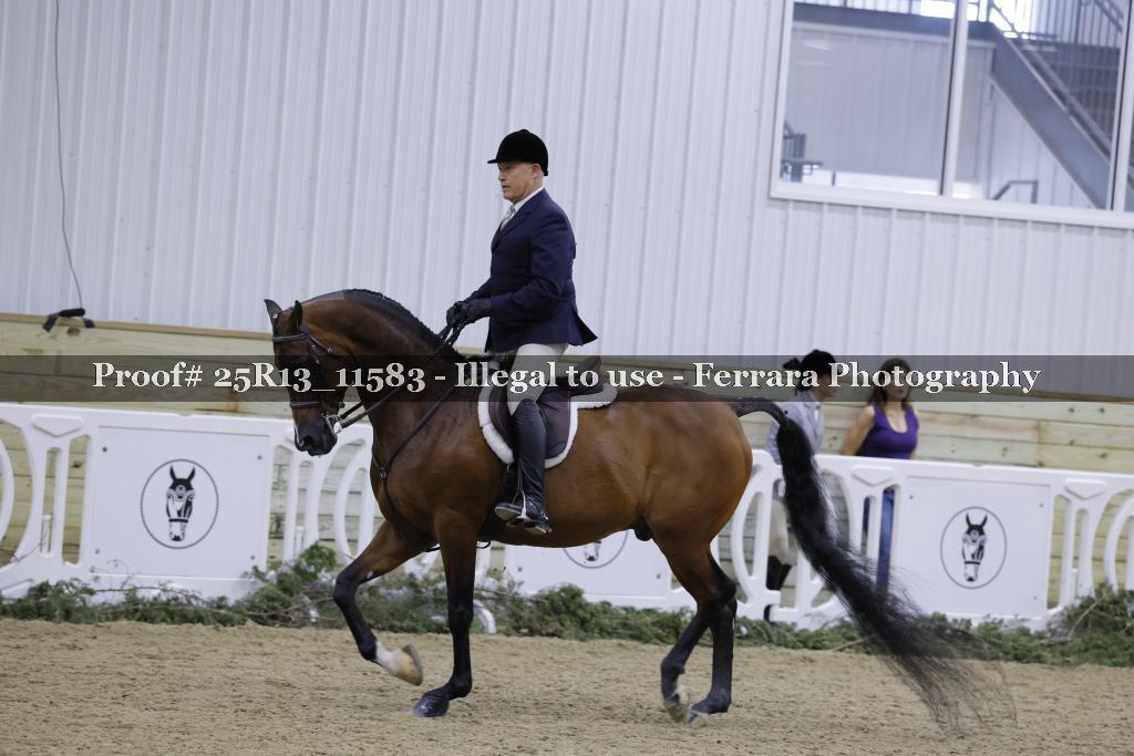 Proof Number 25R13_11583