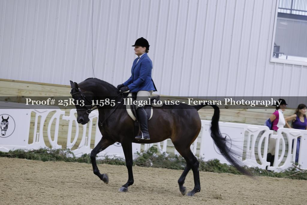 Proof Number 25R13_11585