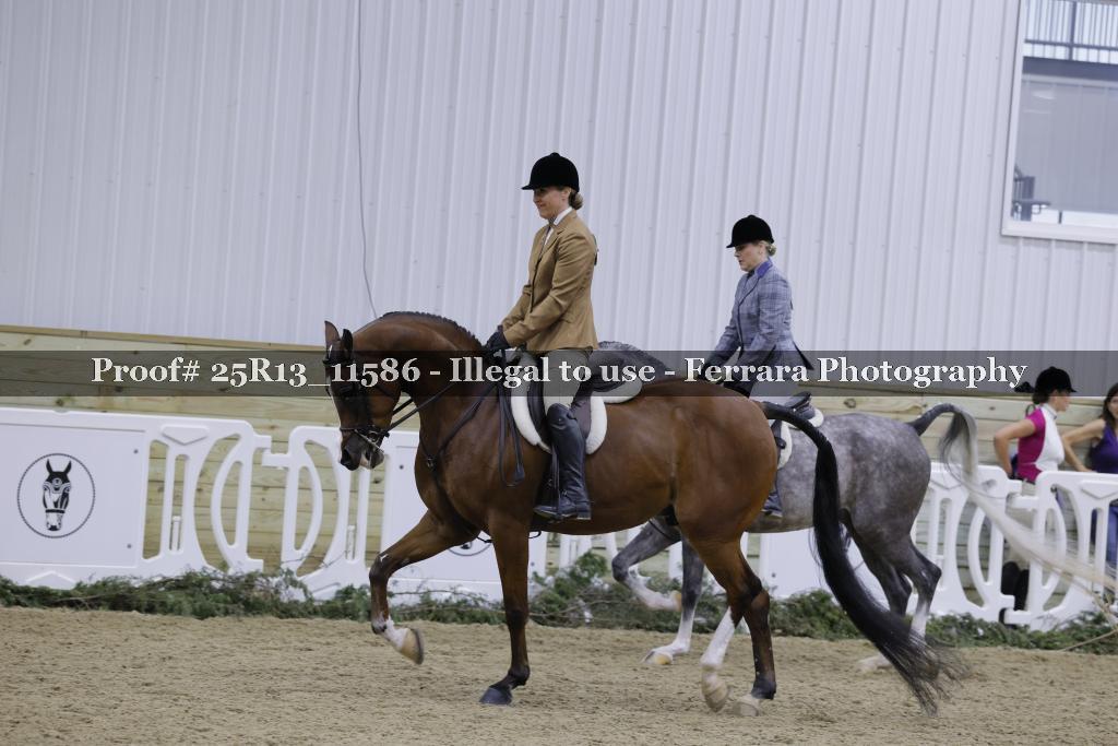 Proof Number 25R13_11586
