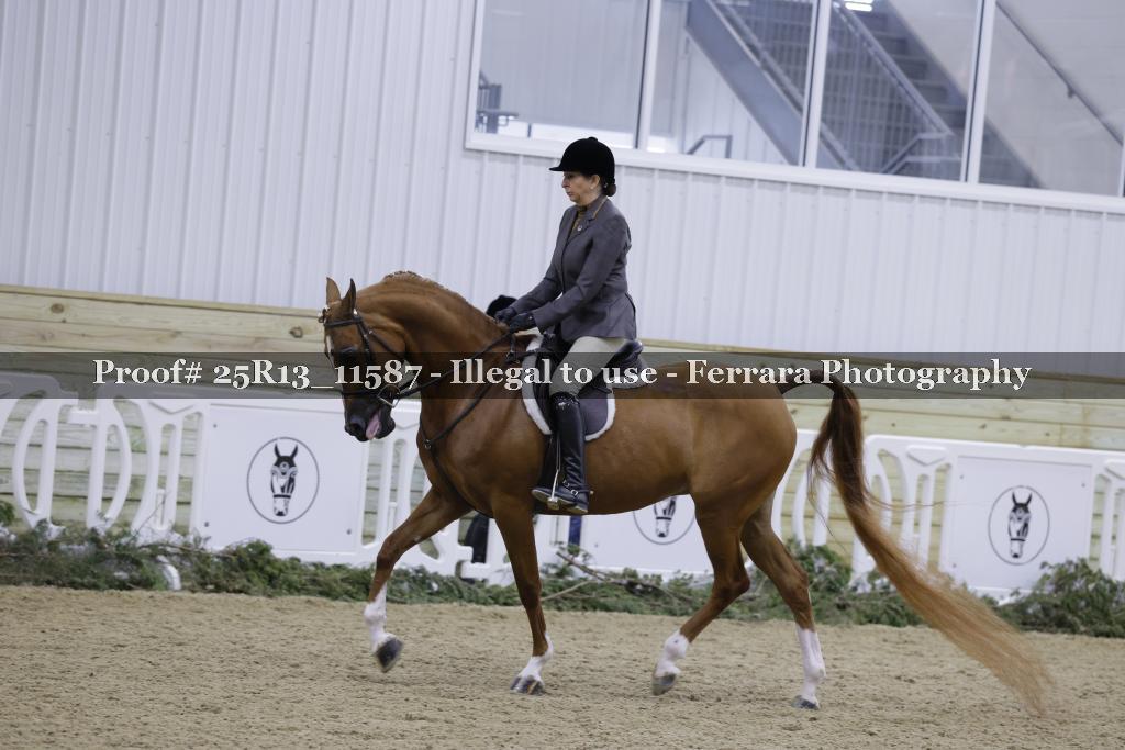 Proof Number 25R13_11587