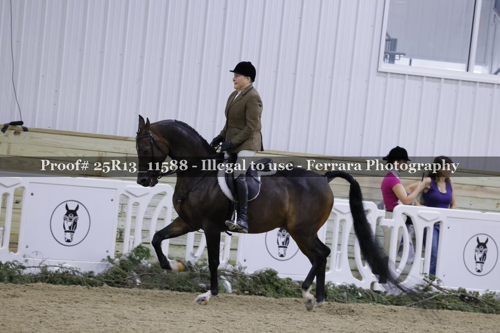 Proof Number 25R13_11588