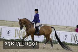 25R13_11591 thumbnail