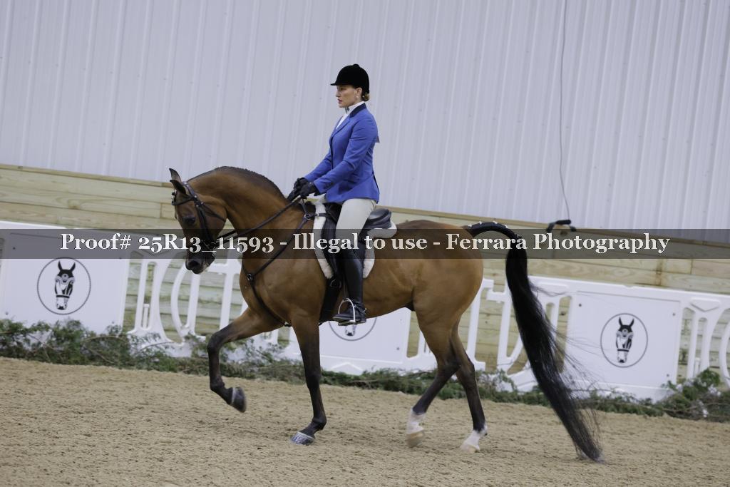 Proof Number 25R13_11593