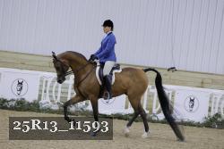 25R13_11593 thumbnail