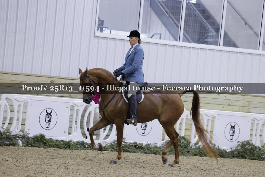 Proof Number 25R13_11594