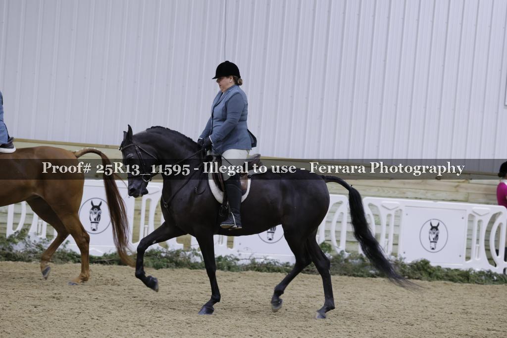 Proof Number 25R13_11595