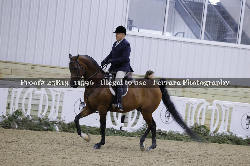 Proof Number 25R13_11596