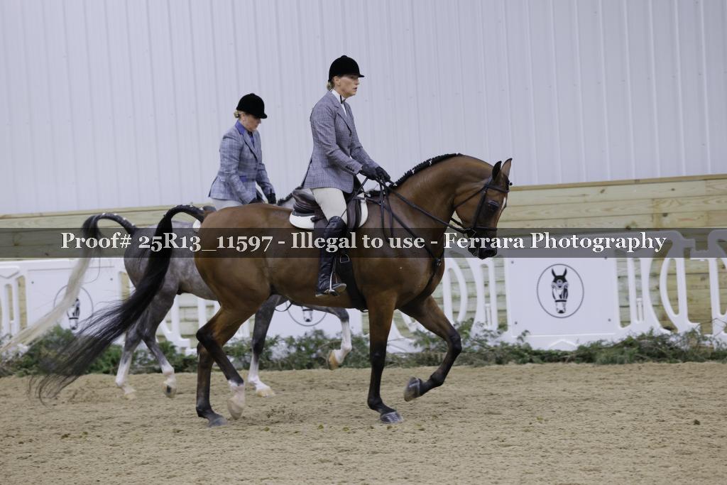 Proof Number 25R13_11597
