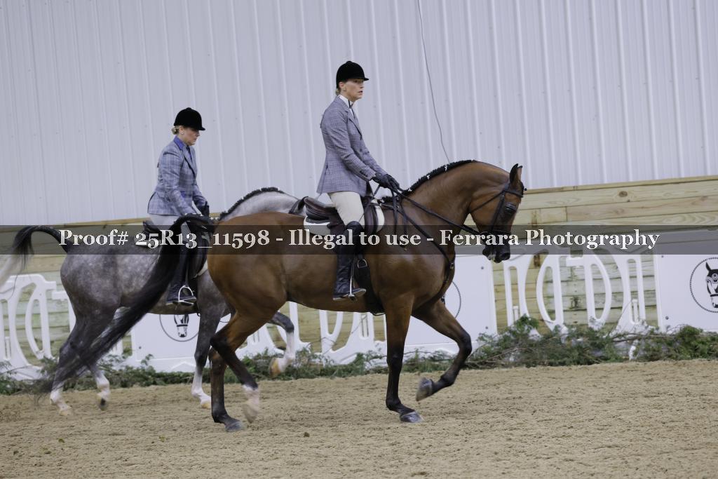 Proof Number 25R13_11598
