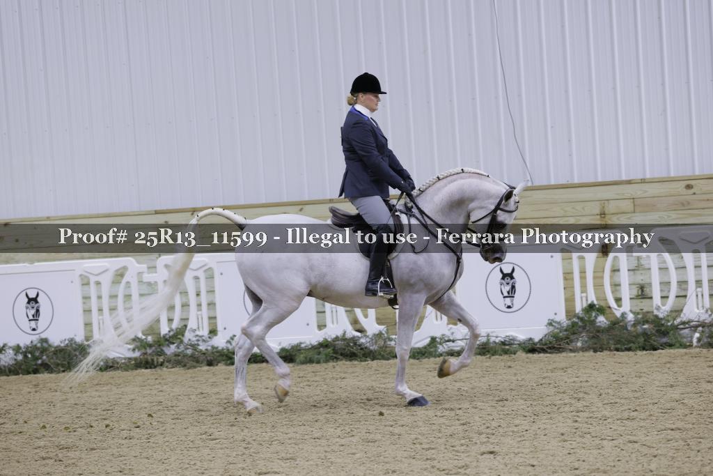 Proof Number 25R13_11599