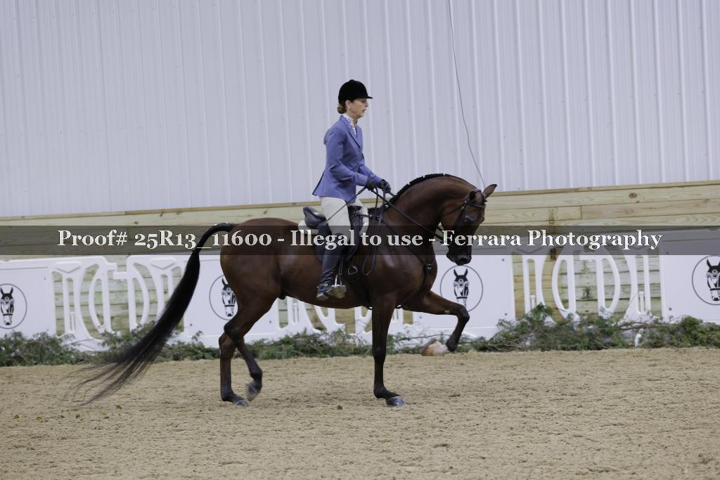Proof Number 25R13_11600