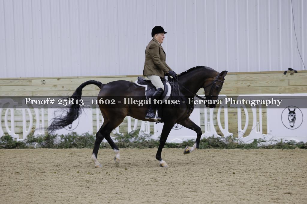 Proof Number 25R13_11602