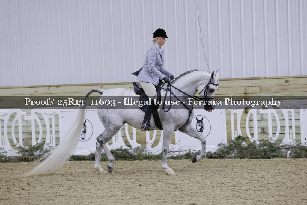 Proof Number 25R13_11603