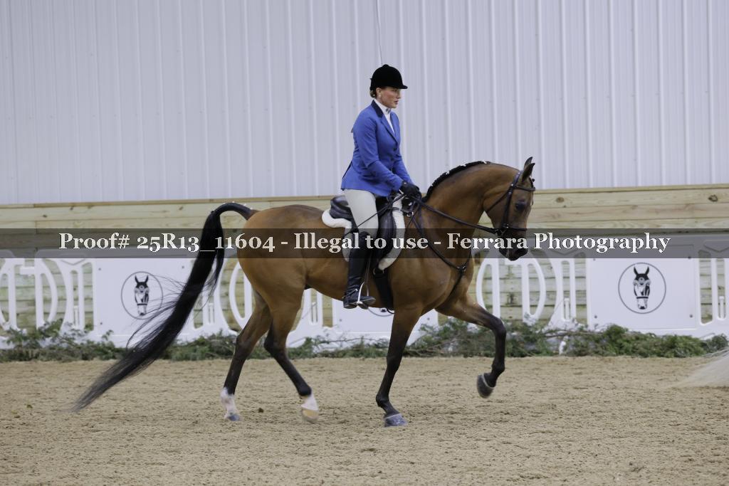 Proof Number 25R13_11604