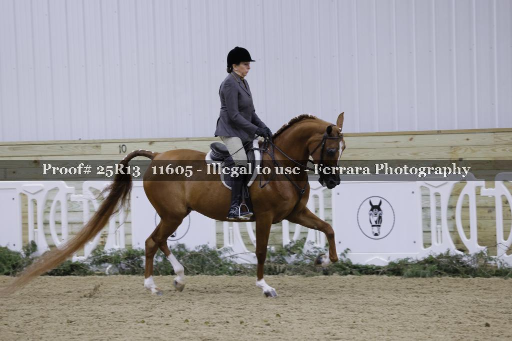 Proof Number 25R13_11605