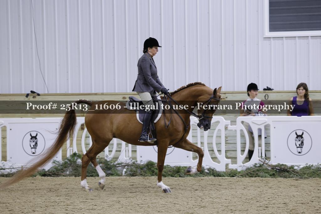 Proof Number 25R13_11606