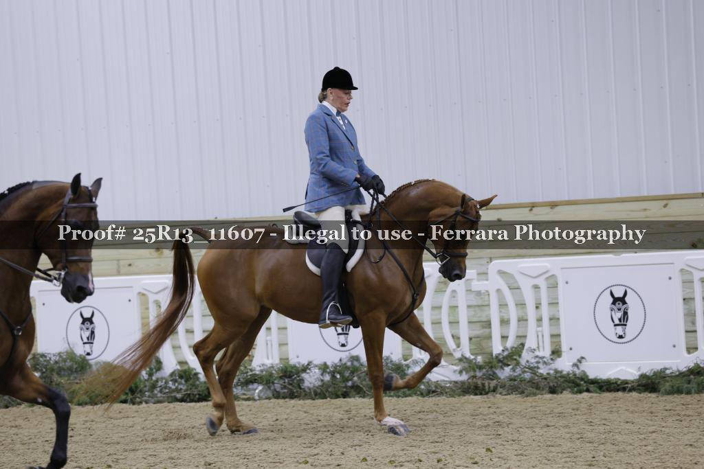 Proof Number 25R13_11607