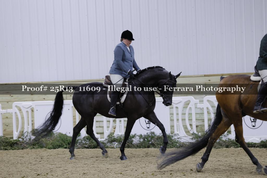 Proof Number 25R13_11609