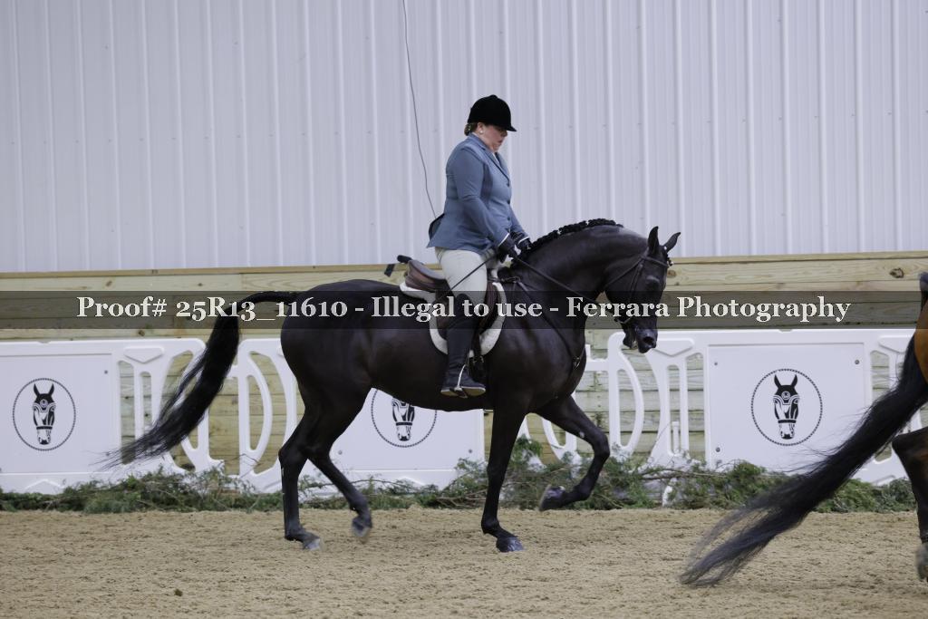 Proof Number 25R13_11610