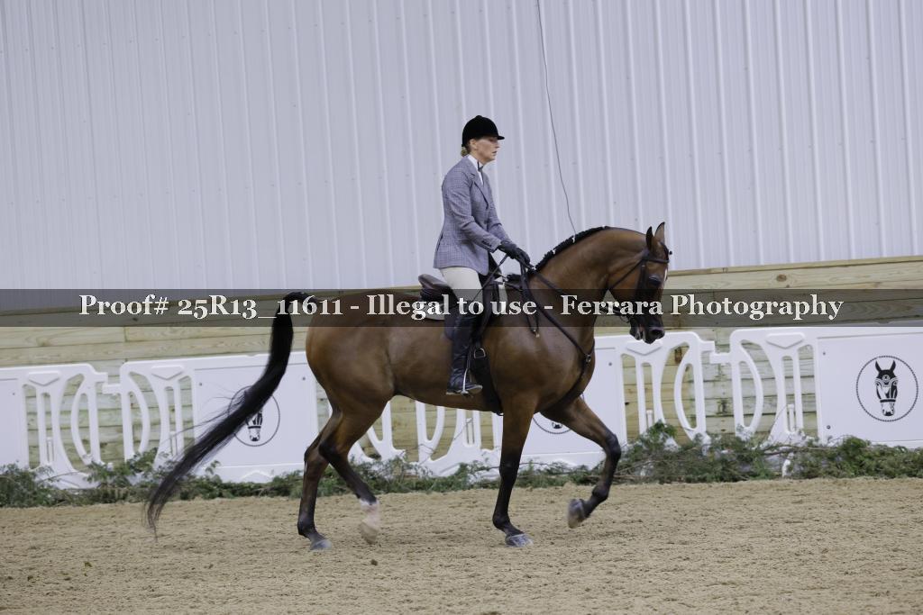 Proof Number 25R13_11611