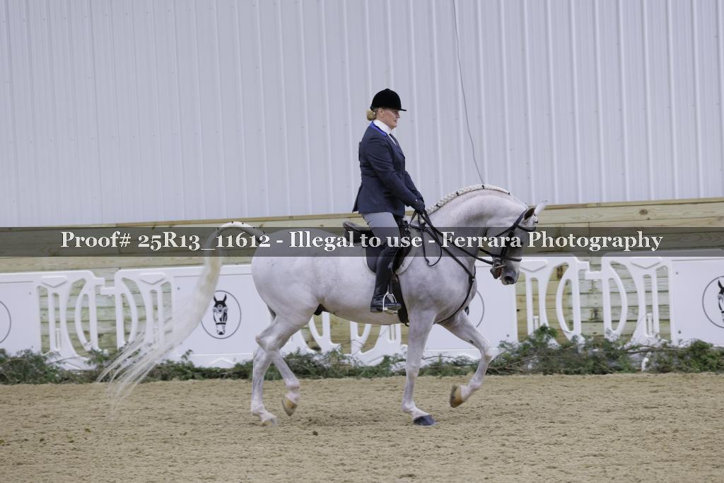 Proof Number 25R13_11612