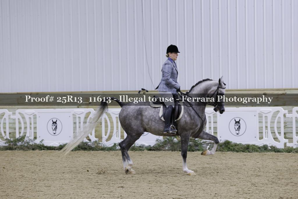 Proof Number 25R13_11613