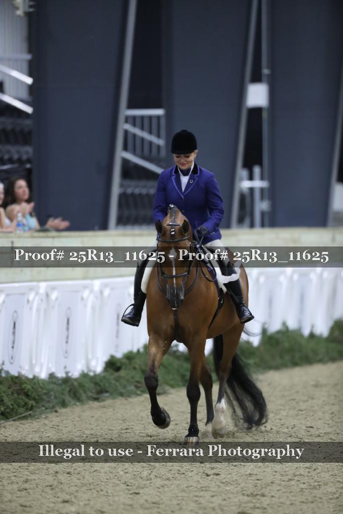 Proof Number 25R13_11625