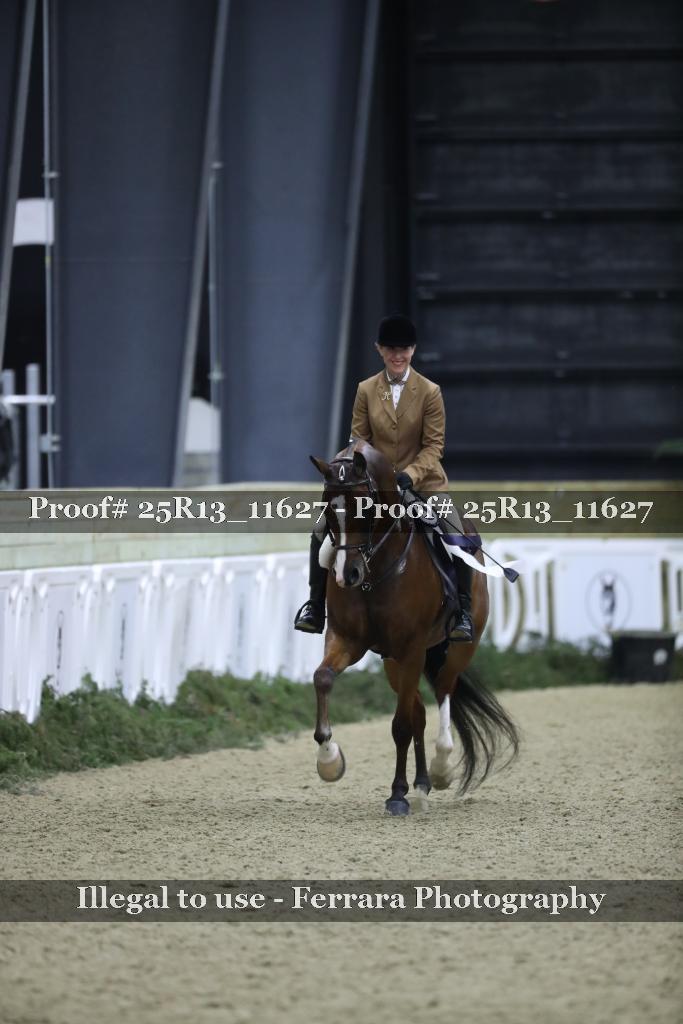 Proof Number 25R13_11627