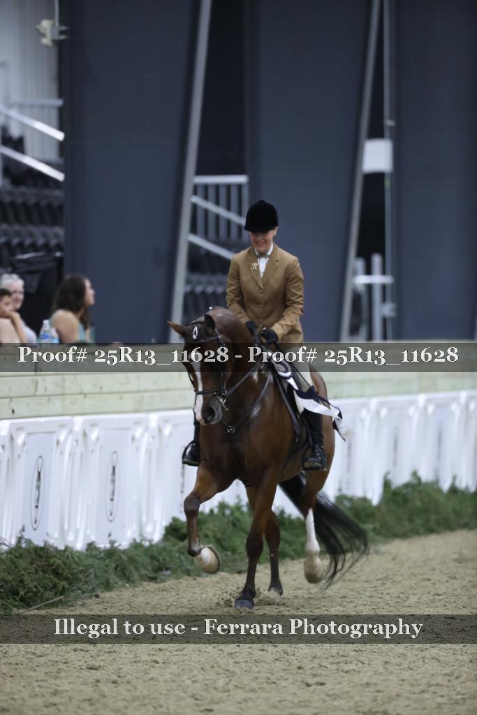 Proof Number 25R13_11628