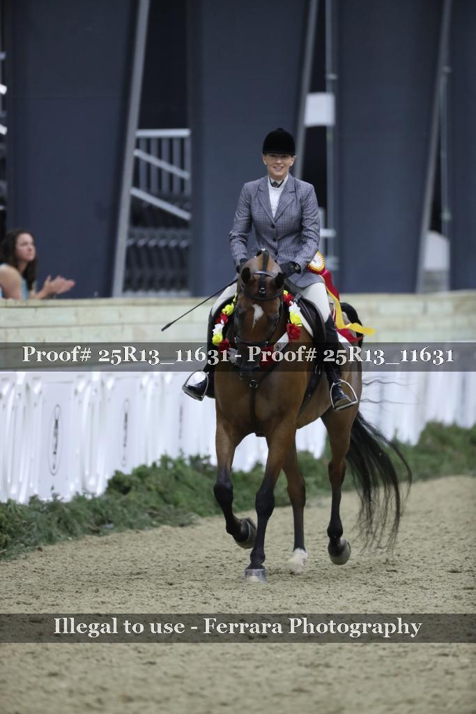 Proof Number 25R13_11631
