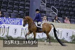 25R13_11636 thumbnail