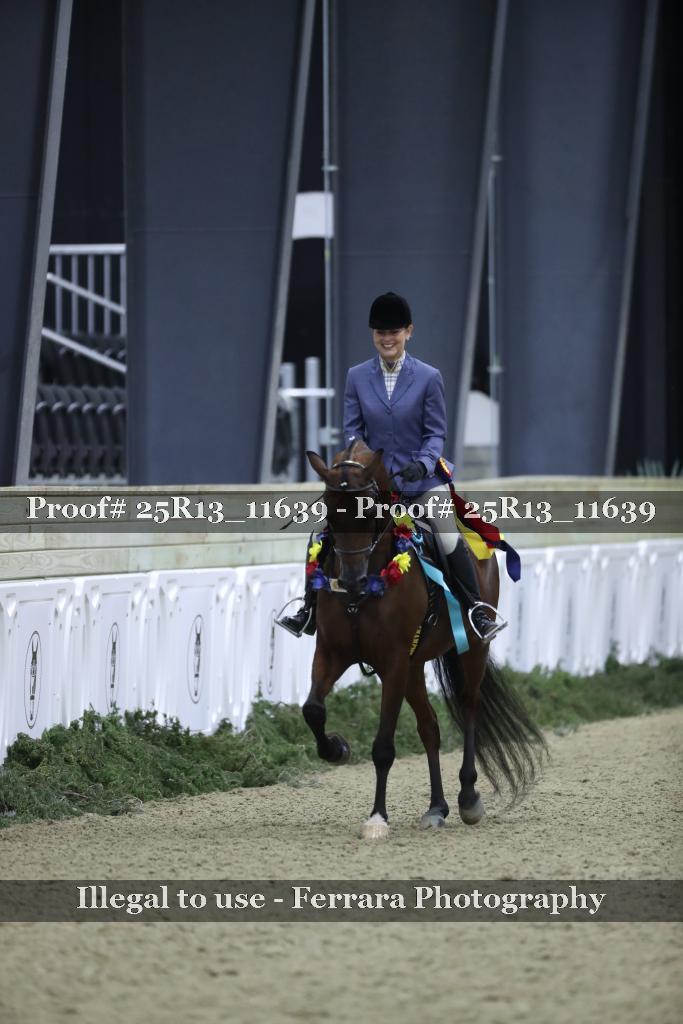 Proof Number 25R13_11639