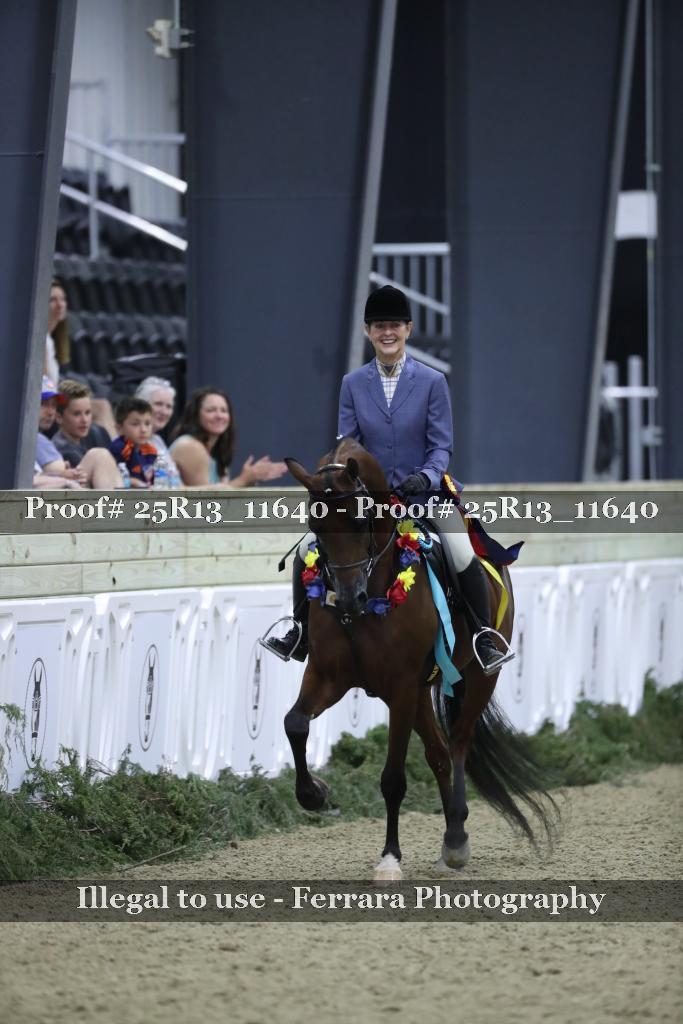 Proof Number 25R13_11640