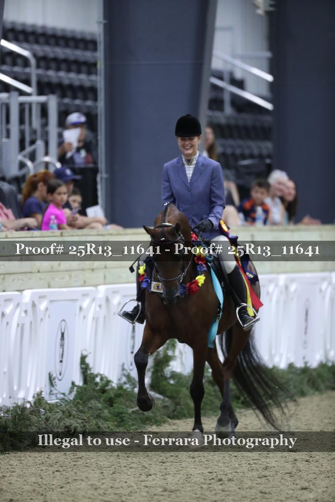 Proof Number 25R13_11641