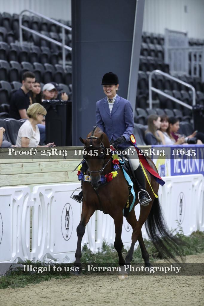 Proof Number 25R13_11645