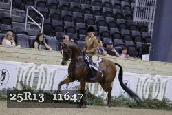 25R13_11647 thumbnail
