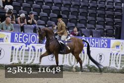 25R13_11648 thumbnail