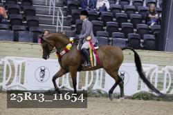 25R13_11654 thumbnail